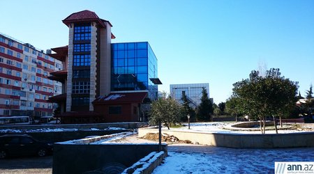 "Tikintilər parkı" "Azadlıq"a aparır - FOTOLAR