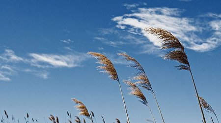 Baku weather forecast for Feb. 17