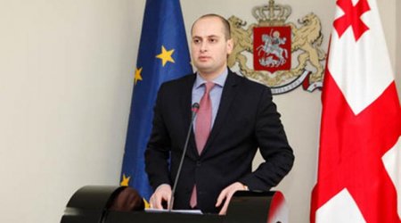 Мамедъяров встретился с Джанелидзе