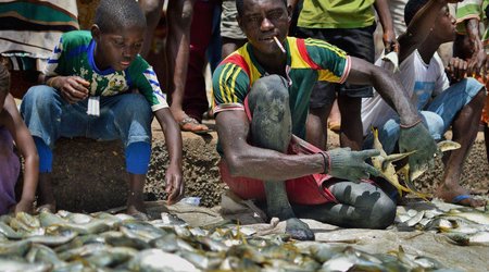 In pictures: Fishing in Sierra Leone