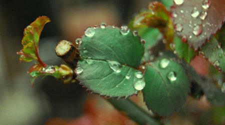 Baku weather forecast for April 14