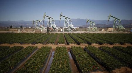 Crude oil prices take a breather after hitting 2016 highs