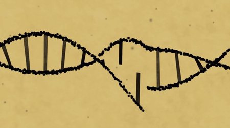 China's golden age of science