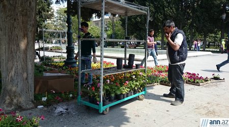 Bakı parkları "gül bayramı"na hazırlaşır, güllər əkilir - FOTOLAR
