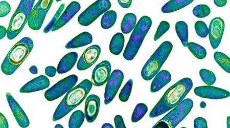 Global antibiotics 'revolution' needed