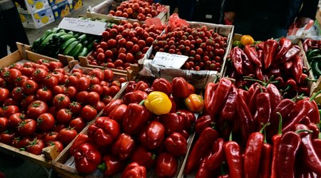 Azərbaycan Rusiyaya pomidor ixracını kəskin artırıb