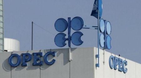 Корзина ОПЕК подорожала