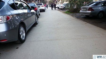 Səkilərimizin daimi "sakinləri" - FOTOLAR