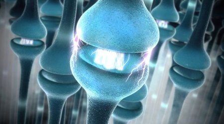 'Hacking nerves can control disease'