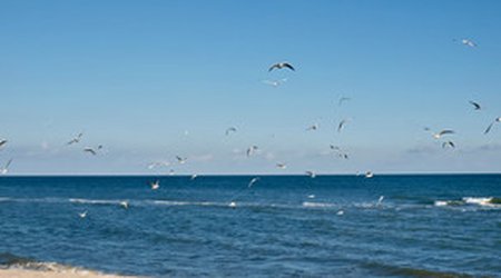 Baku weather forecast for August 17