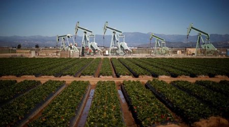 Oil pulls back after big jump on U.S. crude stock draw