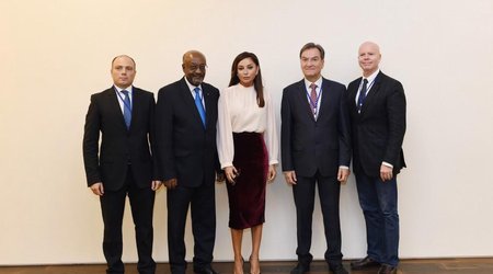 Mehriban Aliyeva meets UNESCO deputy director-general