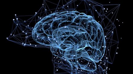 "We`re growing brains outside of the body`