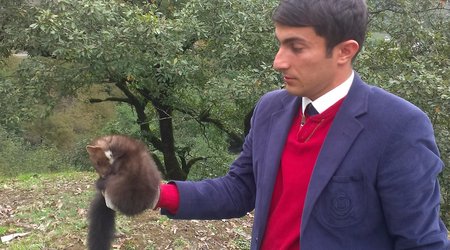 Nadir rast gəlinən heyvan Lerik sakininin evində tapıldı - FOTOLAR