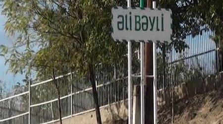 Tovuzda erməni tələsi - heyvanlar minaya düşdü - VİDEO