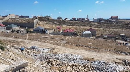 Badamdarı sökürlər – FOTOLAR