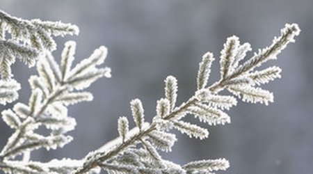 Baku weather forecast for Dec.20