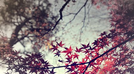 Baku weather forecast for Dec.21