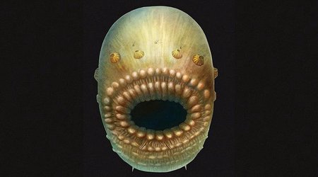 Your oldest ancestor was really weird and had a big mouth