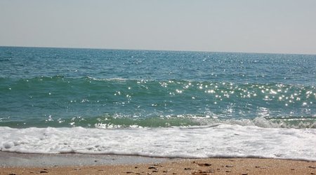 Планируется создать новые пляжи