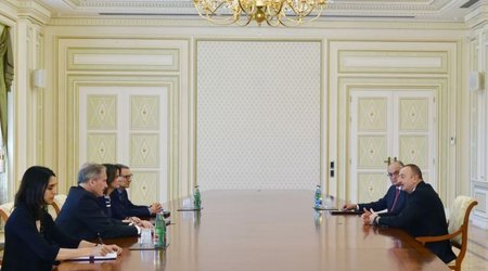 Ильхам Алиев принял Робина Даннигана
