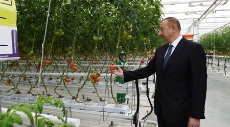 Ильхам Алиев посетил поселок Зиря