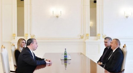 Ильхам Алиев принял главу американского фонда - ФОТО
