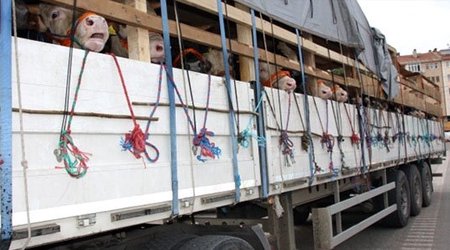 Tarixin ən böyük oğurluğu: 17 min heyvanı apardılar