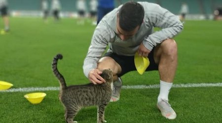 Qara Qarayev məşhur pişiklə - FOTO 
