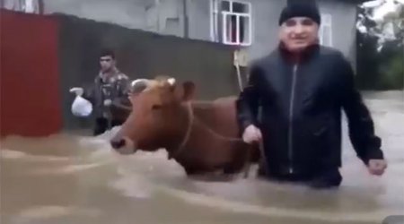 Lənkərandakı seldən daha bir - Video