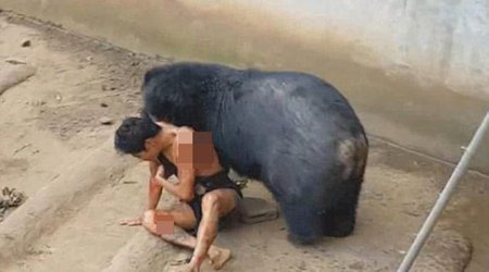 Ayı onunla zarafatlaşan turisti diri-diri yedi - DƏHŞƏTLİ FOTO/VİDEO