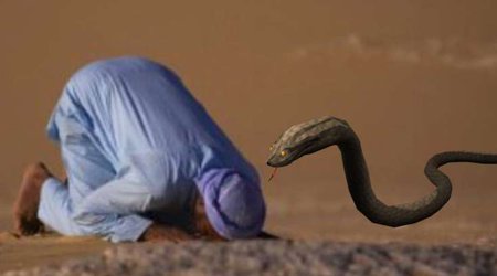 Namaz qılarkən ilan yaxınlaşdı və... - GÖRÜN NƏ ETDİ / VİDEO