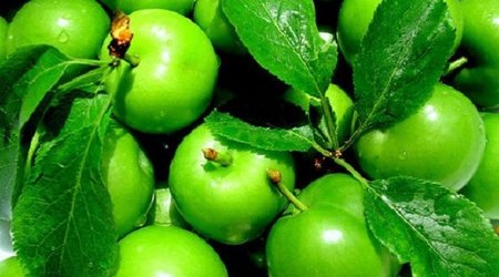 Bazarlarda alçanın 1 kiloqramı 350 manata satılır - VİDEO