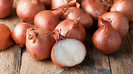 Turkey allows import of Azerbaijani onions