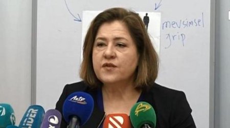 Azərbaycanda "DONUZ QRİPİ"nin olduğu təsdiqləndi - CANLI YAYIM