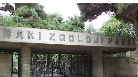 Bakı Zooparkı bağlandı - VİDEO