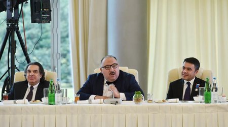 Мехрибан Алиева приняла Бахрама Багирзаде. В ходе встречи обсуждался вопрос памятника Тагиеву