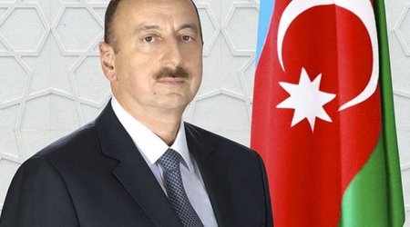 Ильхам Алиев дал поручения по делу Элины Гаджиевой