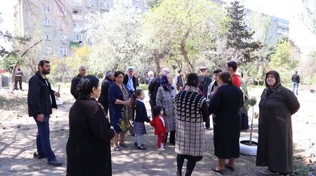“Yaşıl soyqırımı”: İşıqları söndürüb ağacları kəsdilər - VİDEO