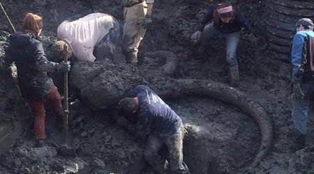 Ər və arvad tarlanı şumlayarkən tapdı - Bu tapıntı ölkədə ŞOK effekti yaratdı - FOTOLAR