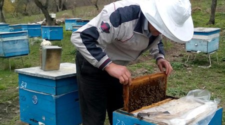 Azerbaijani beekeepers to receive more than 4.2M AZN of subsidies