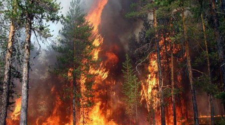 Strong winds reignite wildfires in central Portugal