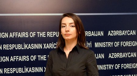 Позиция Азербайджана по вопросу Джамму и Кашмира последовательна