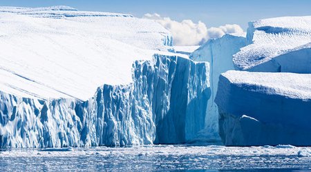 Trump reportedly interested in buying Greenland