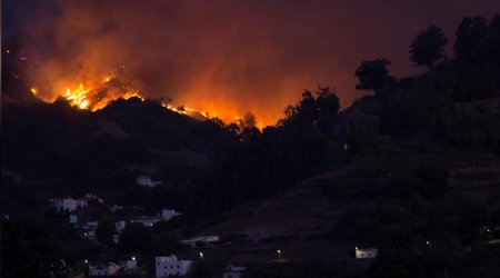 Evacuees fleeing Canary Islands wildfire rise to 8,000