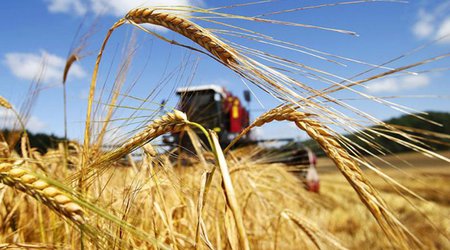Agriculture provides commercial opportunities for Dutch companies in Azerbaijan: ministry (Exclusive)