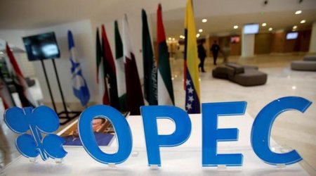 ОПЕК понизил оценку роста спроса на нефть на 80 тыс. б/с