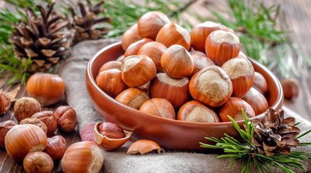 Azhazelnut поставит в ОАЭ фундука на $200 тыс.