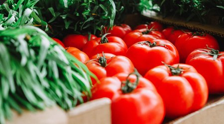 Азербайджан намерен расширить экспорт сельхозпродукции в Африку