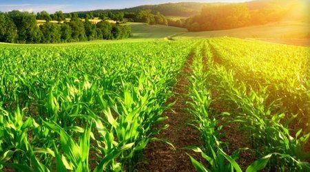 В Азербайджане учредят компанию для продажи продуктов аграрного страхования